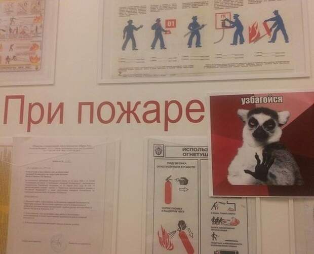 Смешные картинки с подписями катинки, прикол, юмор