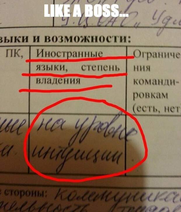 Прикольные картинки Прикольные картинки