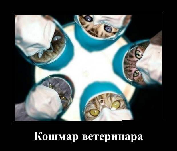 Демотиваторы (30 фото) Демотиваторы (30 фото)