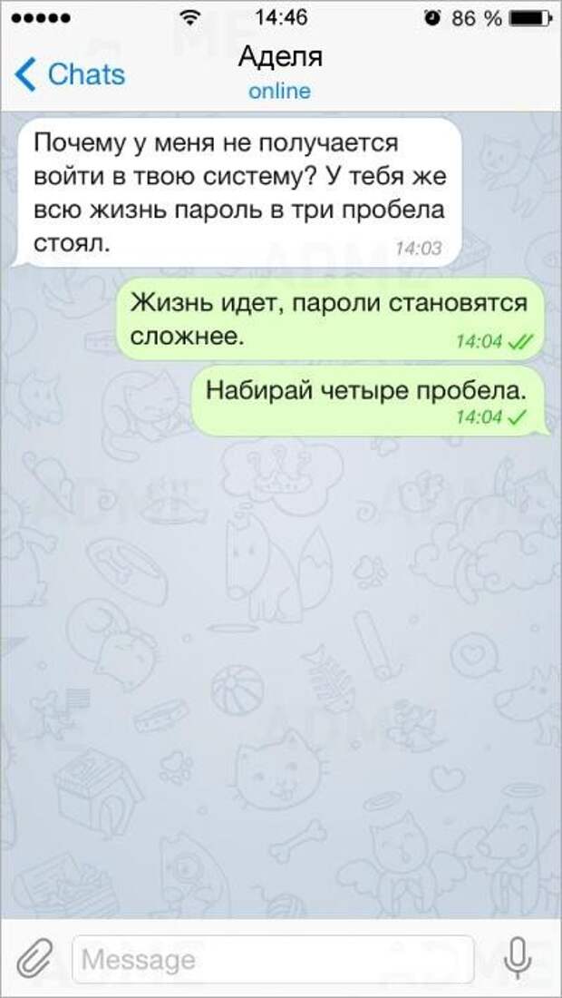 15 СМС от людей с бесценным жизненным опытом смс, юмор