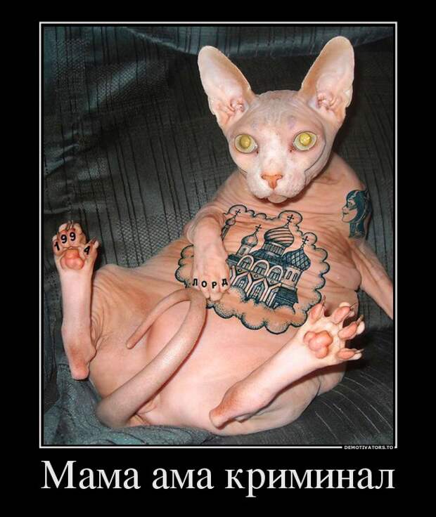 Демотиваторы 