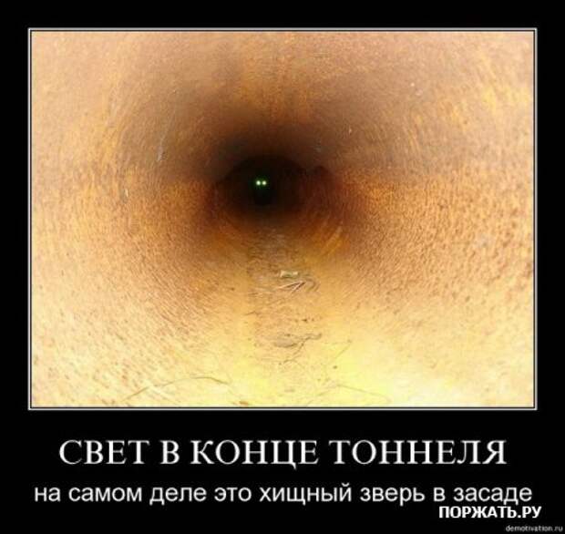 Демотиваторсы