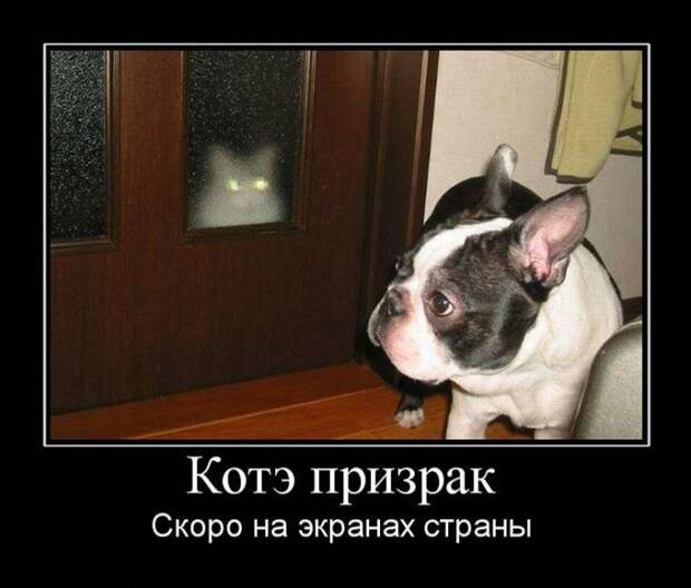 Демотиваторы (30 фото)
