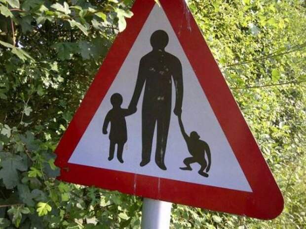 Прикольные картинки. Дневной выпуск (59 фото)