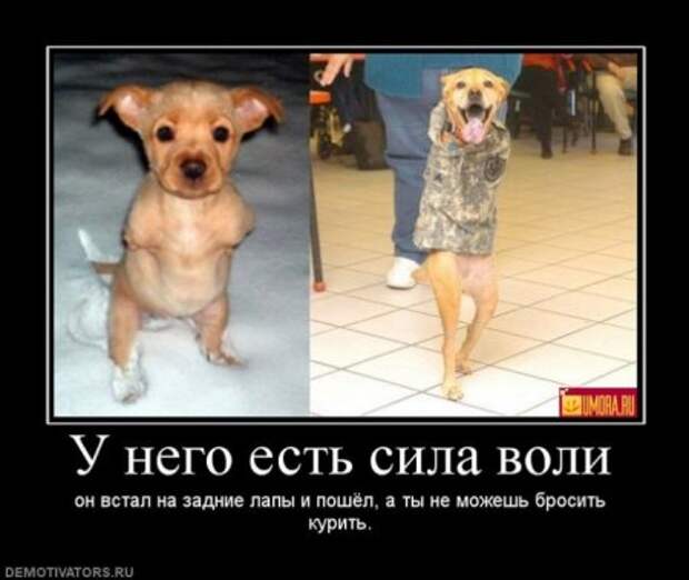 Демотиваторы серьезные, читать под настроение.
