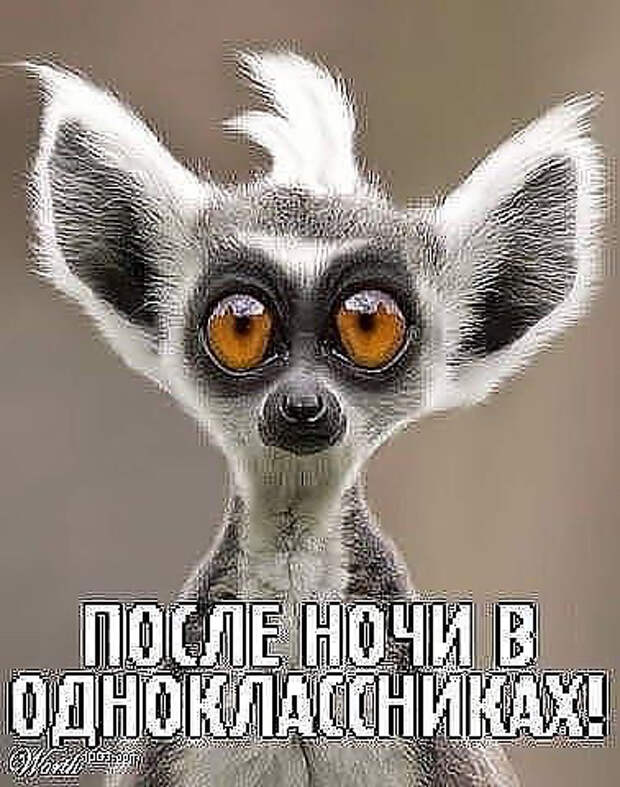 image (378x480, 129Kb)