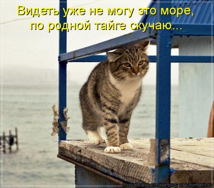 Мысли вслух :)
