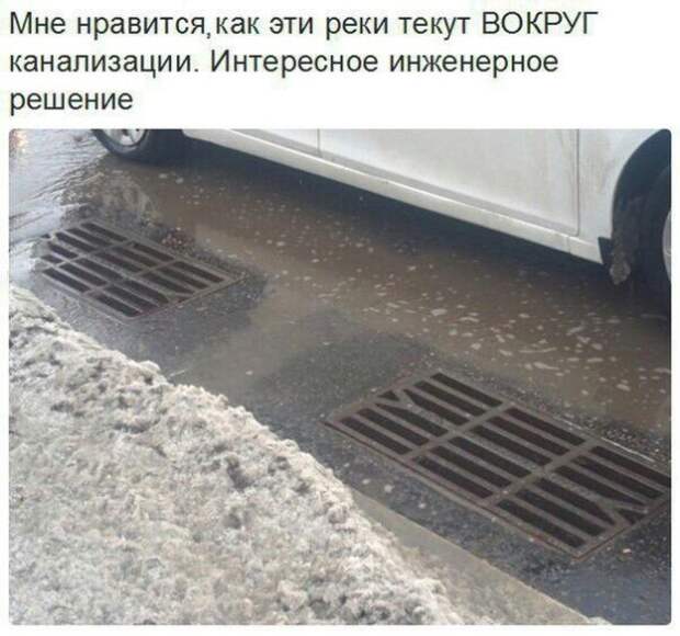 Прикольные картинки