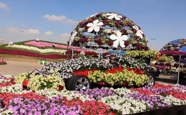 it-is-the-8th-wonder-of-the-world-unique-garden-in-dubai-will-surprise-even-the-most-avid-artnaz-com-10