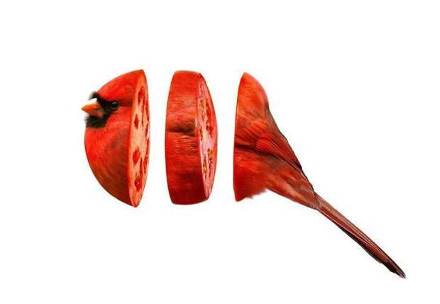 птица и гранат