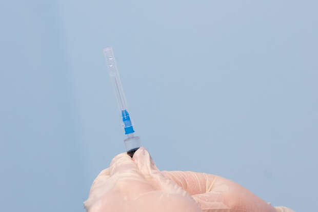 Роспотребнадзор: у летучих мышей в Бразилии выявили новый коронавирус