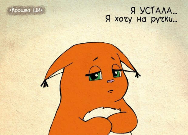 мир глазами белки, Крошка Ши 