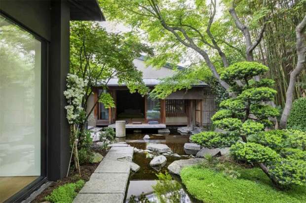 Японский сад преимущественно монохромен: основной цвет – зеленый