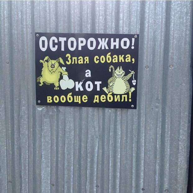 Иногда роль сторожей выполняют кошки Иногда роль сторожей выполняют кошки животные, прикол
