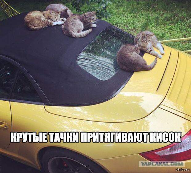 Подборка автоприколов.