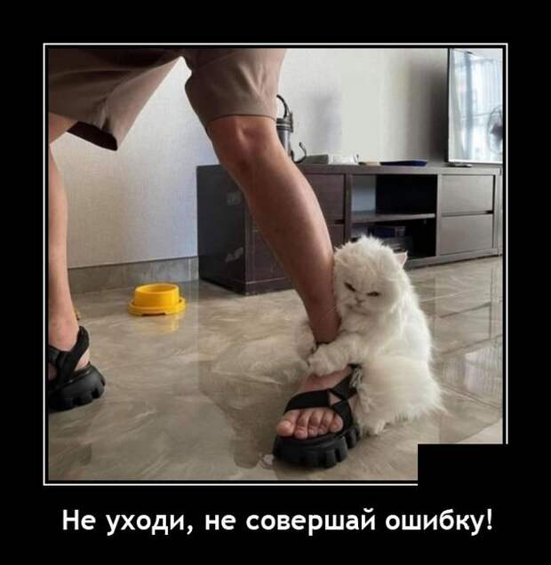 Демотиваторы 2 августа 2021