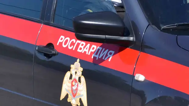 В Курганской области обнаружили 47 снарядов времён войны