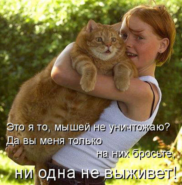 19 (400x407, 194Kb)