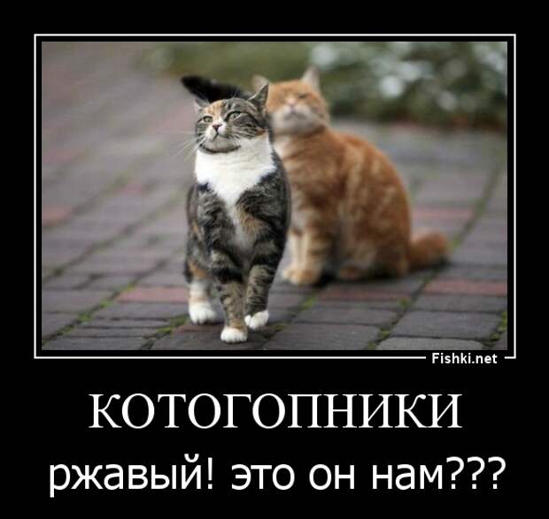 Демотиваторы демотиваторы