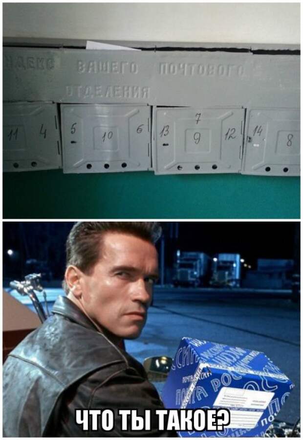 Что ты такое? (20 фото)