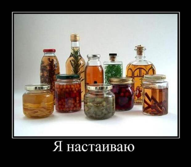 Забавные веселые картинки, демотиваторы