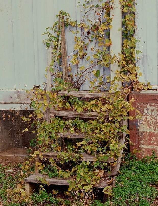 Лестницы, которые никуда не ведут город, лестница, улица, эстетика