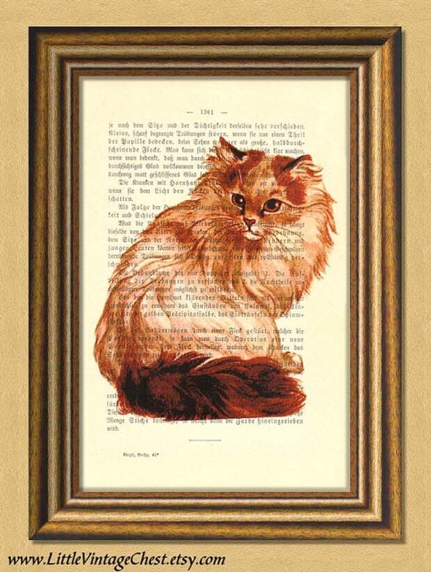 принты на книжных страницах (12) (527x700, 319Kb)