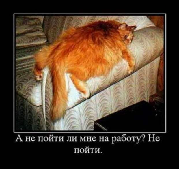Демки прикольные