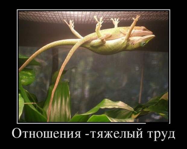 Демотиваторы, прикольно люди живут.  