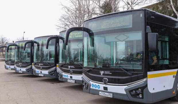 Почти 40 млн поездок совершено на автобусах Мострансавто в феврале