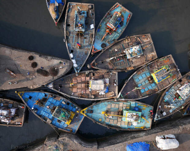 Рыбацкие лодки у причала Сассун в Мумбаи.
