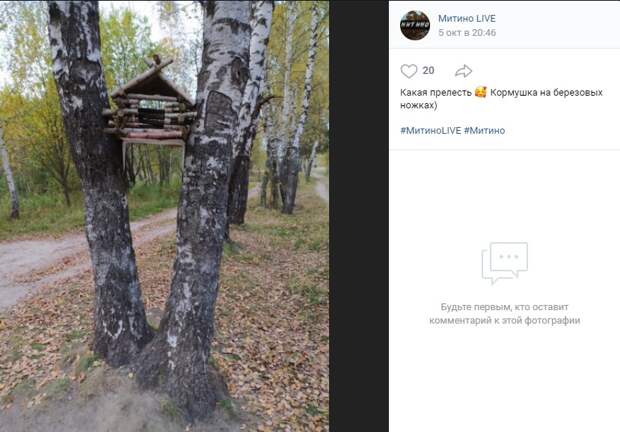 Фото дня: сказочное Митино