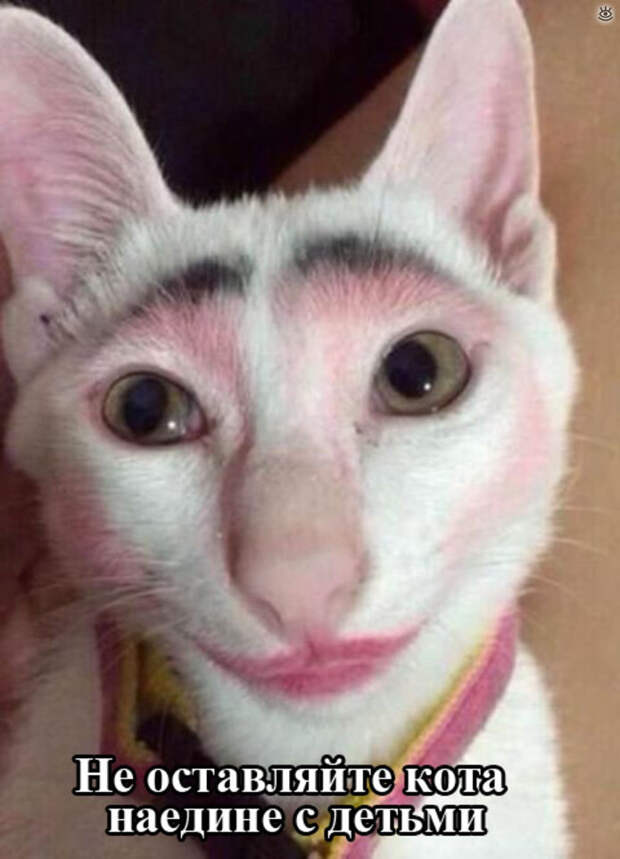Позитивные фотки 1