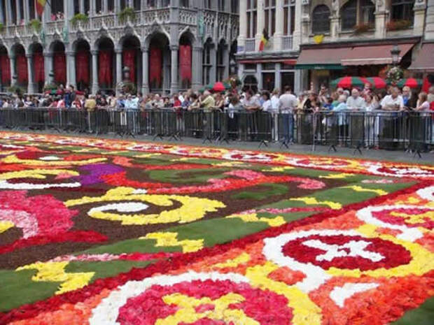 flower carpet2 The Giant Flower Carpet of Brussels 