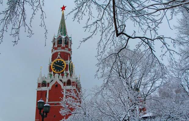 По законам необъявленной войны. Год 2020 в российской истории