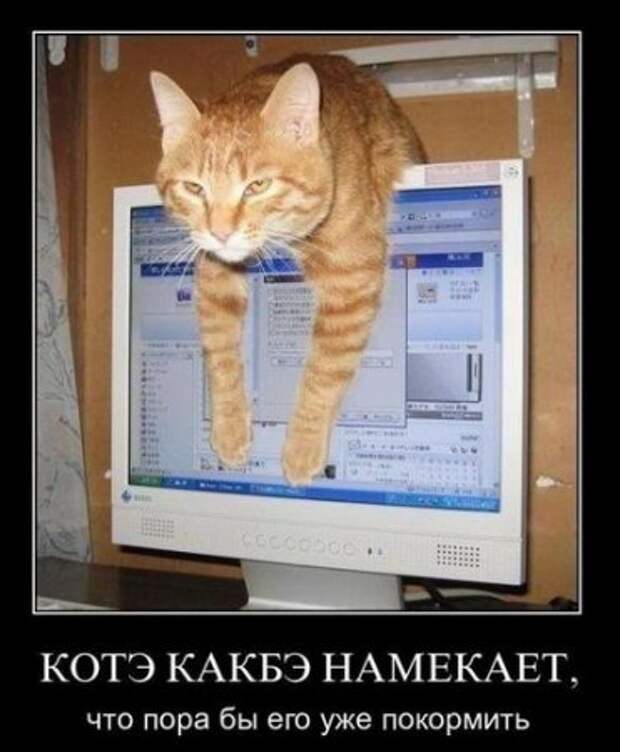 Демотиваторы со смыслом приколы, новая подборка.