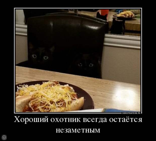 Настраивайся на положительные эмоции! 4