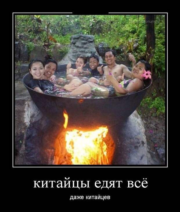 Подборка демотиваторов  демотиватор, юмор