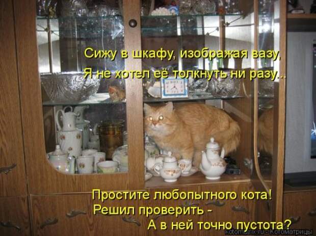 Новая и прикольная котоматрица на 22 сентября (29 фото)