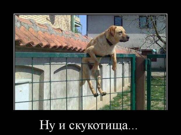 Ну и скукотища... демотиватор, юмор