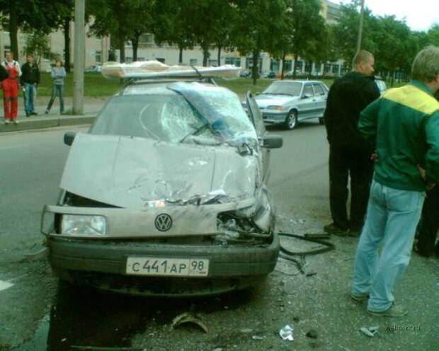 Про кота... авто, дтп, коты