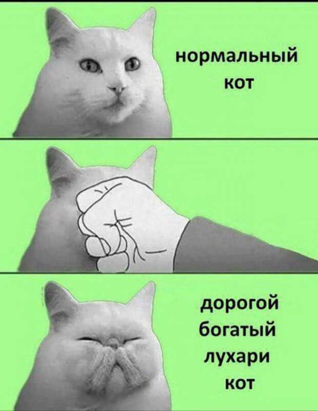 Немного картинок для настроения