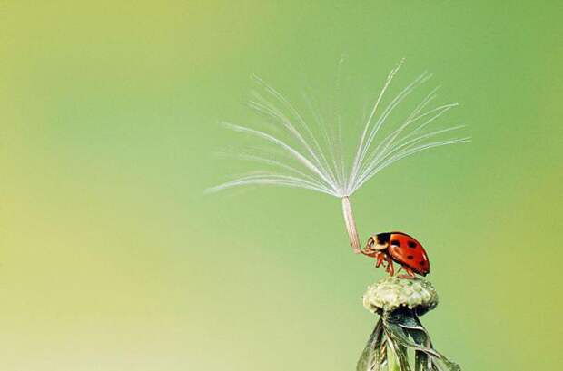 sony-world-photography-awards-2013 (12)