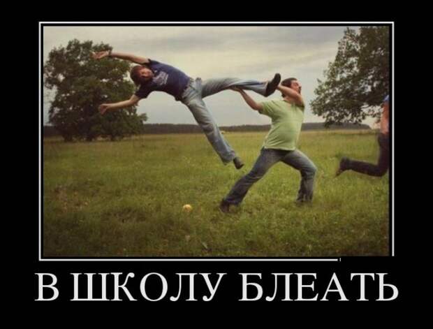 Демотиваторы демотиваторы, прикол, смех, юмор