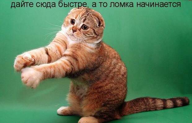 Давайте улыбаться вместе :) (33повода)