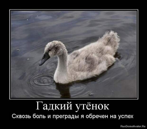 Умные демотиваторы жизненые.