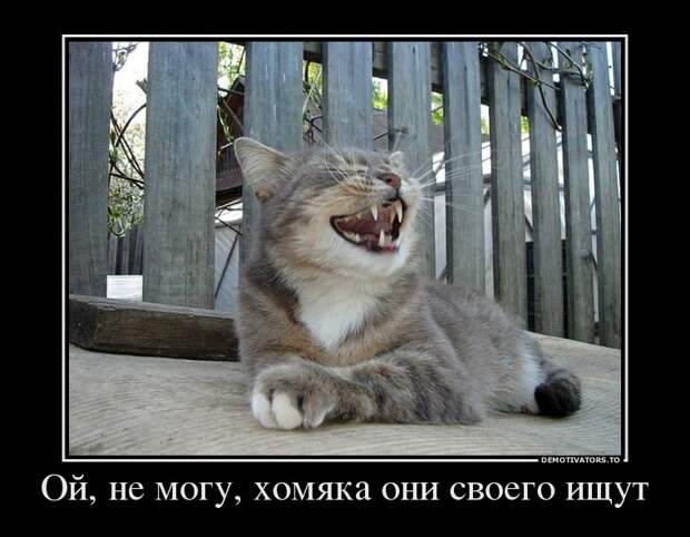 Демотиваторы 
