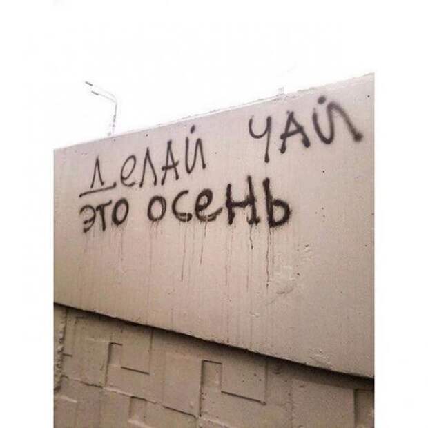 Философские надписи на стенах, которым место в учебниках