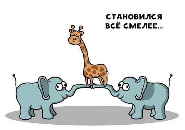 история про жирафа Жору 