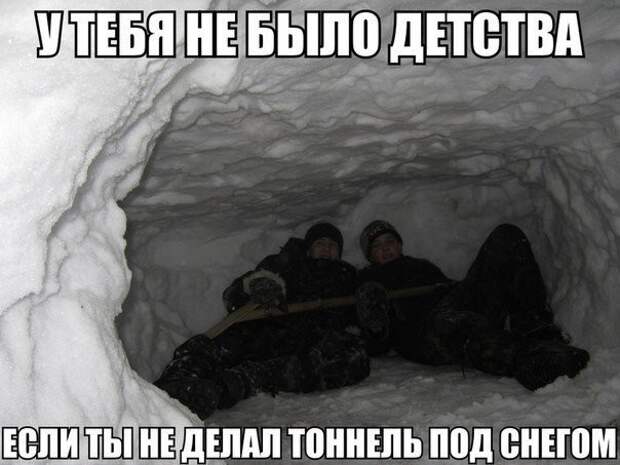Смешные картинки с надписями видео, прикол